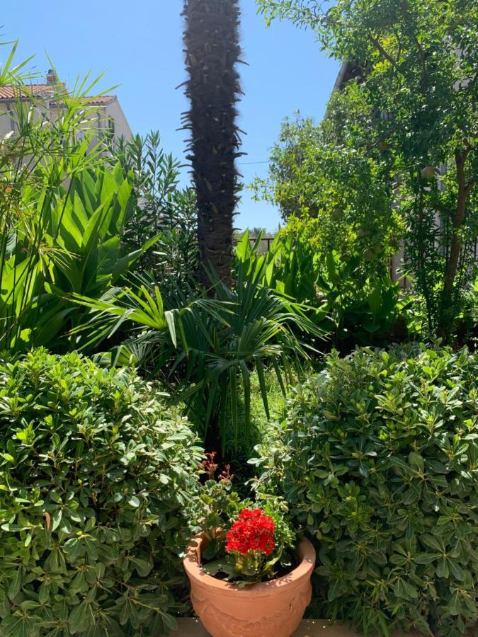 Villa Nera Vodice Eksteriør billede